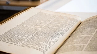 Wikipedia von gestern: Das «Theatrum Vitae Humana»e ist ein bedeutendes enzyklopädisches Werk des 16. und 17. Jahrhunderts.