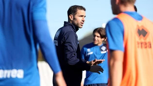 Cesc Fabregas führt Como bei seiner ersten Trainerstation in die Serie A