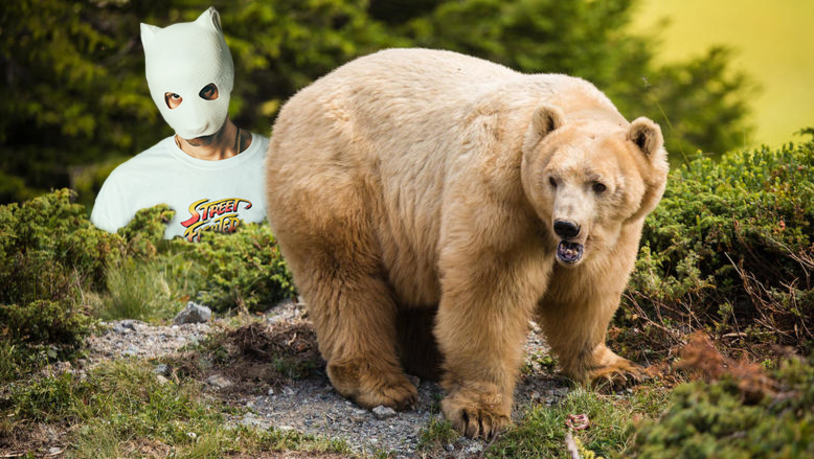 Napa muss sich gefasst machen, denn schon bald taucht auch noch ein Pandabär in Graubünden auf.