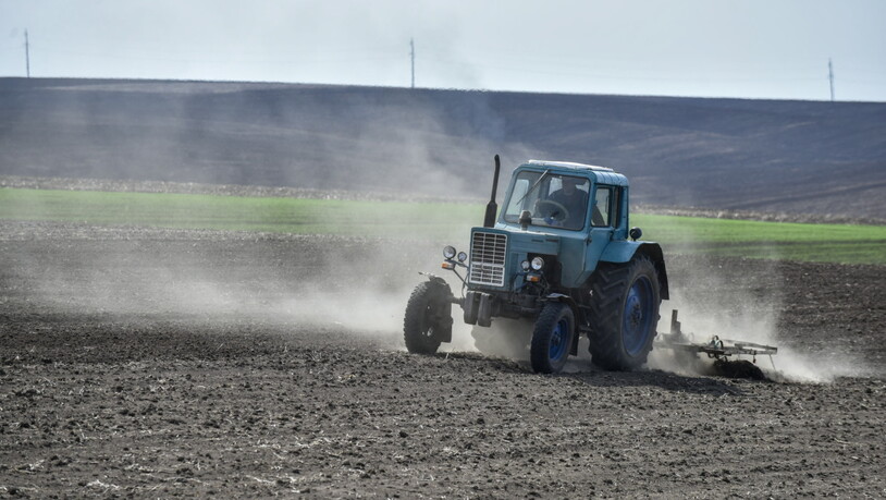 Ein ukrainischer Bauer auf einem Feld in der Region Chmelnyzkj im Westen der Ukraine. (Archivbild)