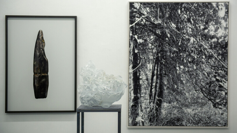 Die Gruppenausstellung "Für immer Wald" in der Galerie Fasciati in Chur. 