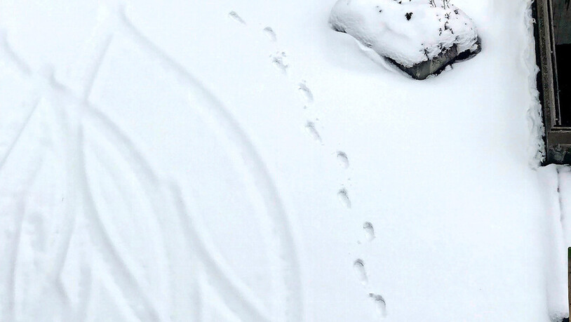Deine Spuren im Schnee … sind so vergänglich wie kaum etwas sonst.