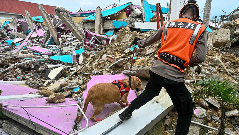 Ein Polizist führt einen Spürhund bei der Suche nach Opfern durch die Trümmer eines eingestürzten Gebäudes in Mamuju. Foto: Hariandi Hafid/ZUMA Wire/dpa
