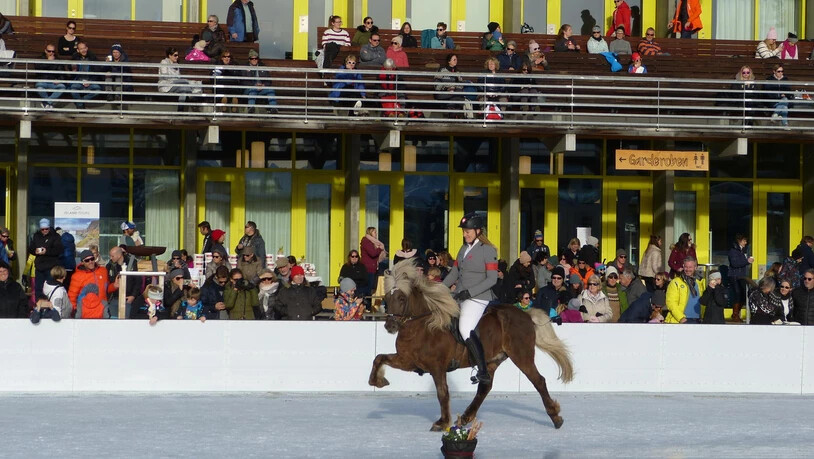 Pferdefreunde müssen sich nun ein Jahr gedulden, ehe auf dem Davoser «Eistraum» wieder ein Tölt stattfindet.
