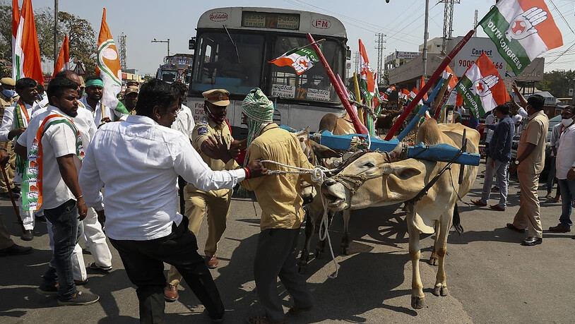 Aktivisten der Kongresspartei bringen einen von einer Kuh gezogenen Wagen auf eine Fahrbahn. Protestierende Bauern haben am 06.02.2021 dazu aufgerufen, Autobahnen für drei Stunden im ganzen Land zu blockieren. Sie fordern die Aufhebung neuer…