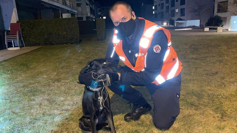 Am Samstagabend rückte die Stadtpolizei Chur wegen eines freilaufenden Hundes aus. 