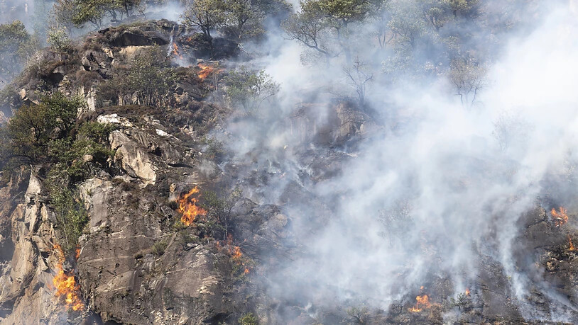 Aufgrund des starken Windes im Süden breitet sich das Feuer bei Torricella schnell aus. Im Bild: Waldbrand bei Biasca im Jahr 2018 (Archivaufnahme).