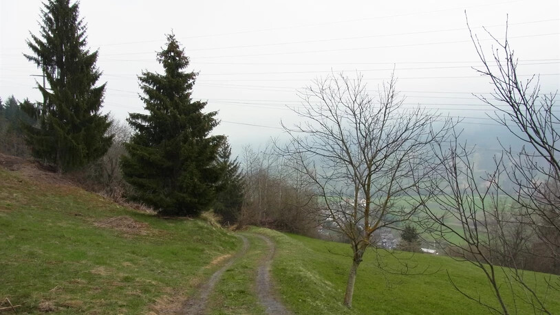 Der Neuanschluss würde durch die Natur- und Kulturlandschaft Plaun Larisch und Plaun Pigniel führen.