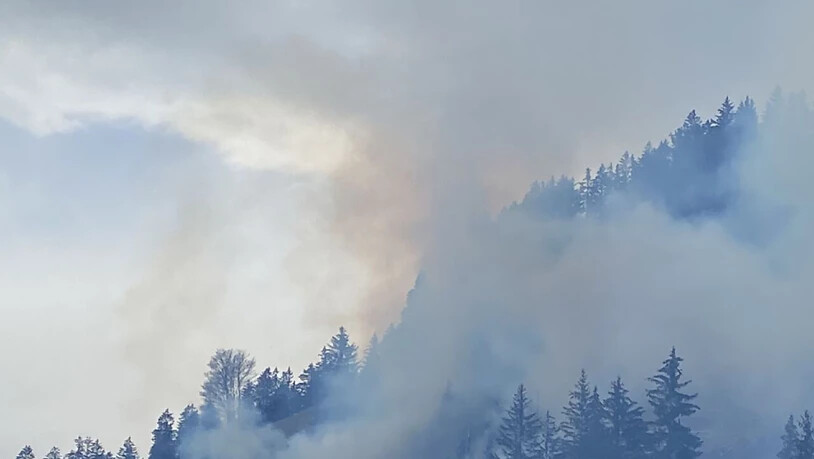 Zweieinhalb Fussballfelder Wald verbrannten am Freitagnachmittag bei Crésuz.