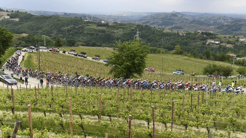 Das Giro-Fahrerfeld unterwegs auf dem Weg nach Canale