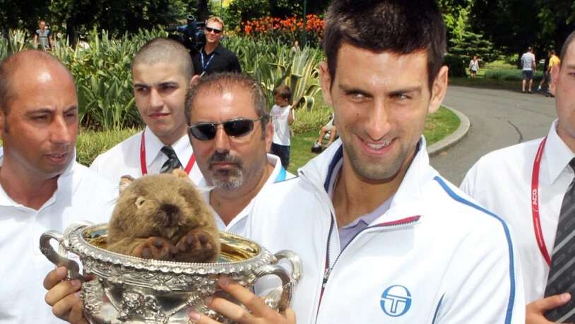 Der serbische Tennisprofi Novak Djokovic mit einem Plüsch-Wombat. In der Natur leiden Wombats unter einer speziellen Form der Krätze, deren Erreger in den langen, feuchten Höhlen der Beuteltiere besonders gut gedeihen. Das haben Roboter herausgefunden …