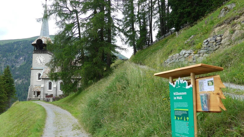 Eine Tafel weist an den Eintrittspforten in Monstein und der Spina auf die zu erwartenden Tafeln hin und lädt die Besuchenden ein, mehr über die Vielfalt des Waldes zu erfahren. 