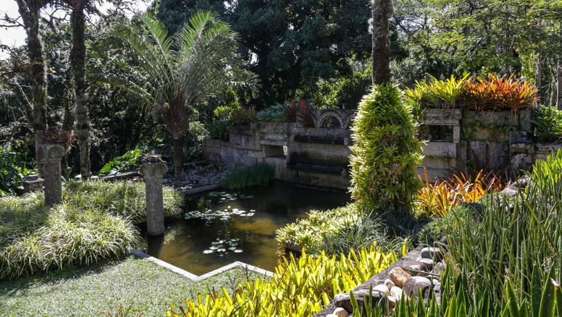 Der botanische Garten in Rio de Janeiro gehört zum Weltnaturerbe. Er beherbergt eine der weltweit grössten Sammlungen von tropischen und subtropischen Pflanzen. (Archivbild)