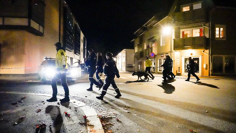 Polizisten ermitteln im Zentrum von Kongsberg nach einer Gewalttat mit f ̧nf Toten. Foto: HÂkon Mosvold Larsen/NTB/dpa