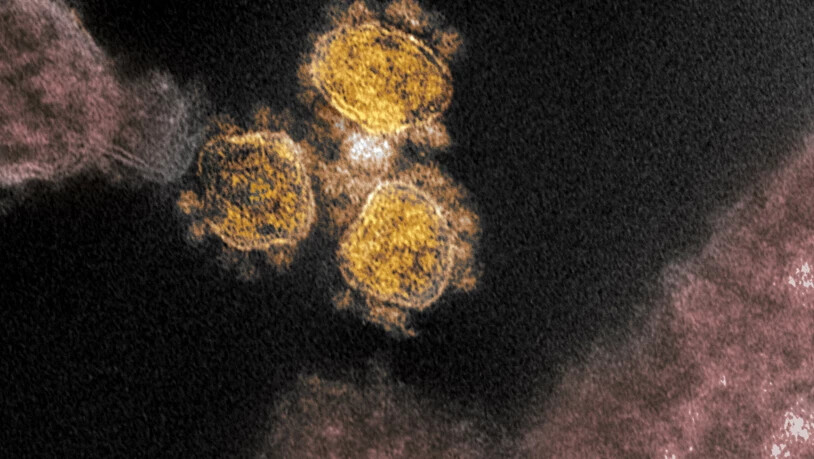 Die neue Mutation des Coronavirus unterscheidet sich im Spike-Protein von den bisherigen. (Archivbild)