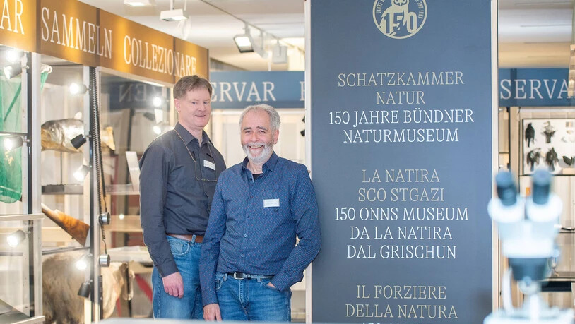Sie blicken zurück: Mit der Jubiläumsausstellung «Schatzkammer Natur» präsentieren Ueli Rehsteiner und Flurin Camenisch (rechts) dem Publikum das Beste aus 150 Jahren Bündner Naturmuseum.