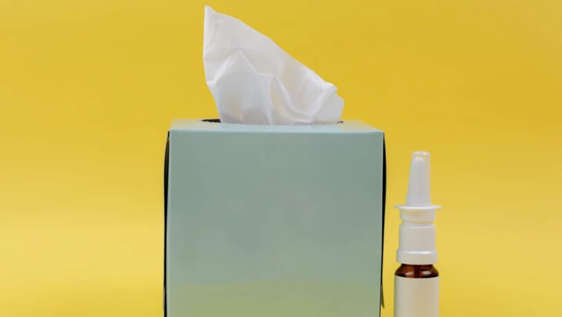 Ständige Begleiter: Taschentuch und Medikamente gehören in jede Tasche eines Allergikers.