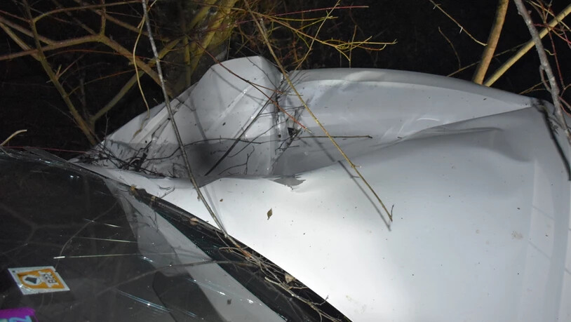 Komplett verbeulte Motorhaube: Am Auto entstand ein Sachschaden von mehreren Zehntausend Franken.