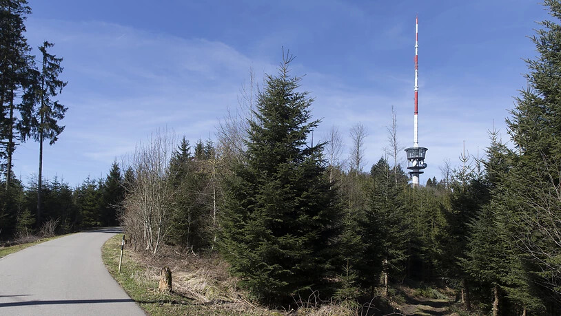 Auf dem Bantiger im Kanton Bern wurde am Freitagvormittag eine Orkanböe von 137 km/h gemessen. (Archivbild)