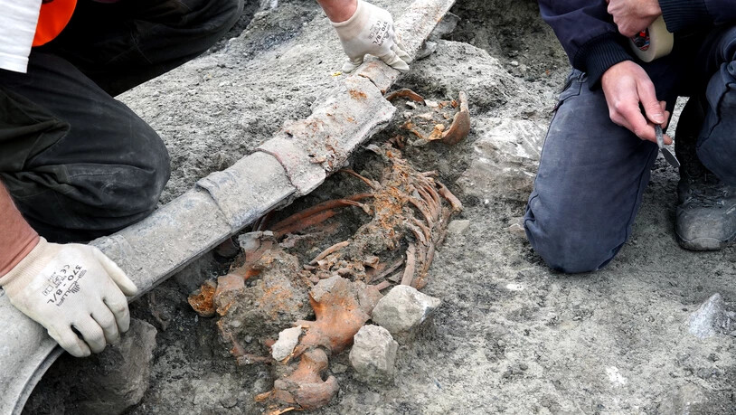 Während Strassensanierungsarbeiten in Sagogn sind menschliche Gebeine entdeckt worden. Der Archäologische Dienst Graubünden vermutet nun, dass die Knochen aus dem Frühmittelalter stammen.