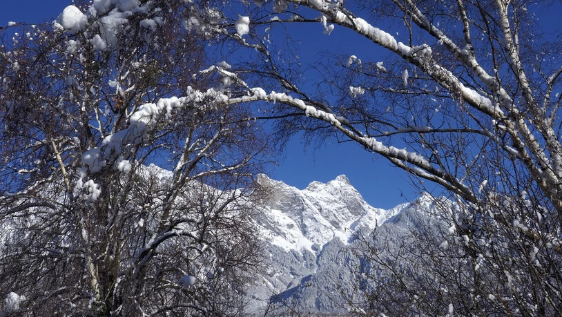 Den Durchblick durchs Winterwunderland: Das Glegghorn erstrahlt im Winterkleid.
