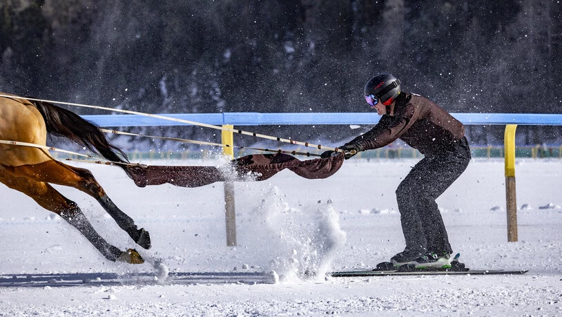 Skifahren mit Pferd: Pro Renntag findet ein Skikjöring-Rennen auf dem Eis statt.