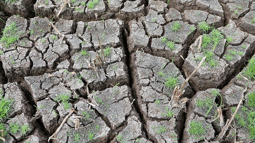 Die Dürre im Mittelmeerraum hat dem europäischen Erdbeobachtungsprogramm Copernicus zufolge über die Wintermonaten angehalten, was zum Teil zu Wassereinschränkungen und Dürre-Notständen geführt hat. (Symbolbild)