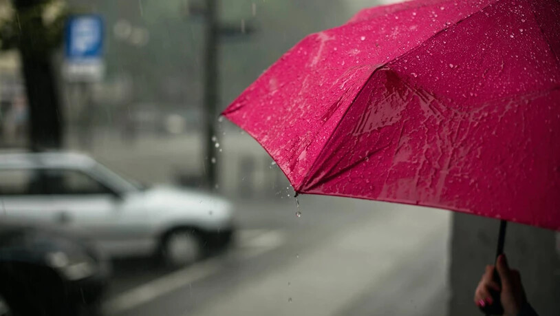 Nie wieder Rost, Löcher oder verbogene Metallstreben: So schenkt Ihr Eurem Schirm ein unendlich langes Leben.