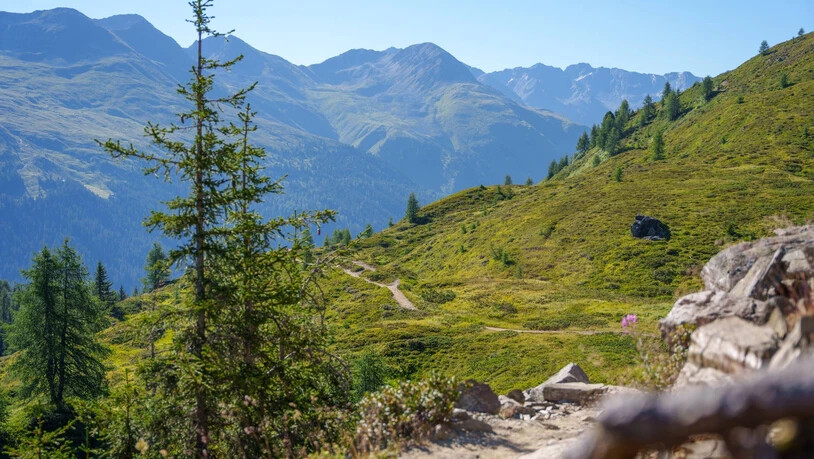 Jeder geht seinen Weg: Biker und Wanderer kommen sich künftig in der Region Davos Klosters nicht mehr in die Quere.