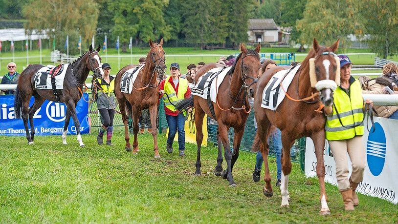 Tradition: Im Oktober gehen in Maienfeld wieder die Pferderennen über die Bühne. Nach den Rennwochenenden zeigt sich ein unschönes Bild. Bettina Lampert gibt nach Turbulenzen ihren Rücktritt aus der Organisation bekannt.