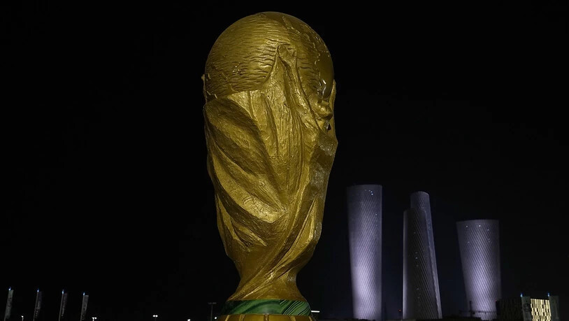 Vier Wochen lang wird in Katar um den WM-Pokal gespielt.