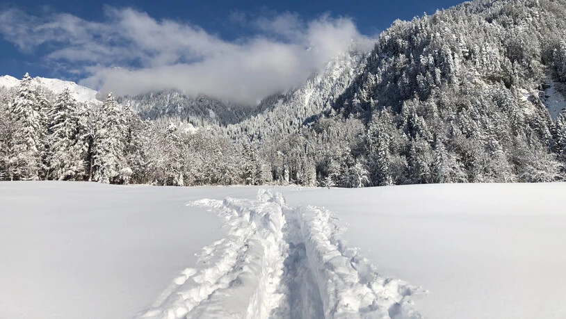 Winterwunderland nach dem Schneesturm: Am 16. Januar 2021 gab es strahlendes Wetter, welches für einen willkommenen Schneespaziergang einlud.