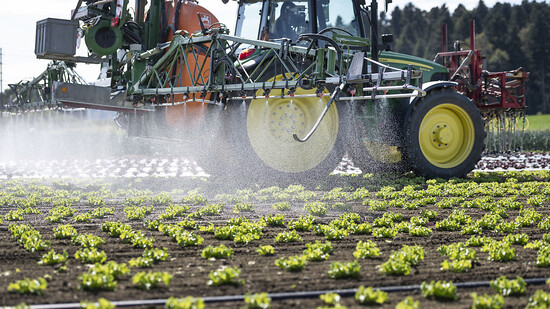 Fast 30 Prozent der Pestizid-Zulassungen in der EU sind nach Foodwatch-Recherchen im vergangenen Jahrzehnt ohne erneute Risikoüberprüfung verlängert worden. 135 der 455 in der EU zugelassenen Mittel seien betroffen. (Archivbild)