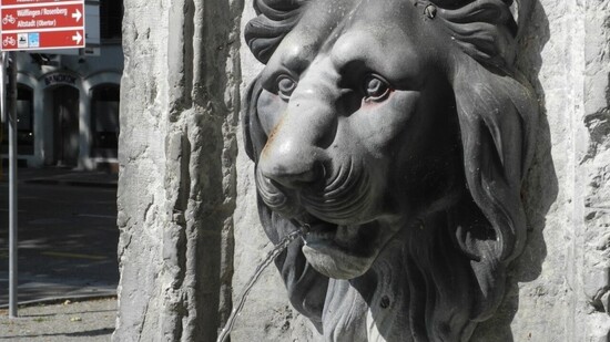 Die Winterthurer Polizei sucht nach diesem stählernen Löwenkopf. Unbekannte haben die 30 Kilogramm schwere Brunnenfigur gestohlen.