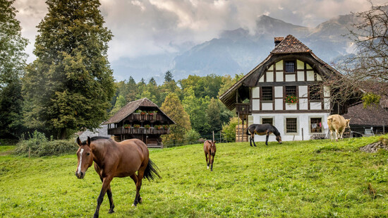 Der Ballenberg im Berner Oberland: Das Festgelände ist mit 66 Hektaren sehr weitläufig.