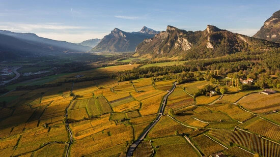 Vielfalt der Heidiland-Weine: Mit dabei sind weltmeisterliche Weine aus dem «Burgund der Schweiz», Weine aus einem Eisenbergwerk oder biodynamische Weine.