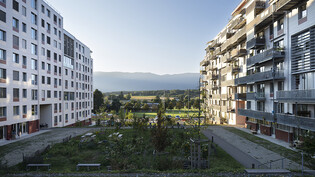 Wohnhäuser und Grünfläche dazwischen im Quartier "Les Vergers"in Meyrin. Die Genfer Vorortsgemeinde wurde mit dem Wakker-Preis 2022 ausgezeichnet.