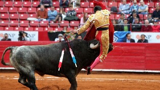 Ein Stier nimmt einen mexikanischen Stierkämpfer auf die Hörner. Ein Richter hat Stierkampfvorführungen in der grössten Arena von Mexiko-Stadt ausgesetzt. Tierschützer hatten geklagt.