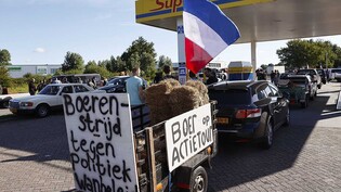 ARCHIV - Niederländische Landwirte sind auf dem Weg von Drenthe nach Bilthoven, um sich dem Protest des Verbandes «Farmers Defence Force» (FDF) gegen Umweltauflagen der Regierung anzuschließen. Foto: Vincent Jannink/ANP/dpa