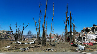 ARCHIV - Nur noch Reste von Bäumen stehen zwischen Trümmern nach einem russischen Raketenangriff in der Region Odessa. Foto: Pavlo Gonchar/SOPA Images via ZUMA Press Wire/dpa