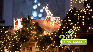 Festliche Dekoration: An Weihnachten sind Lichterketten, Tannzweige und Rentiere, hier im Bild am Christkindlimarkt in Chur, für viele unverzichtbar.