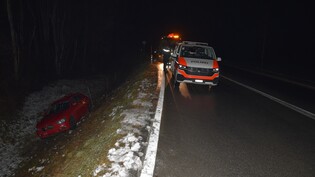 In Wildzaun gelandet: Das Auto wurde beschädigt und musste abgeschleppt werden. 