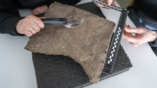 Der älteste Runenstein der Welt wird untersucht: In Norwegen ist der nach Forscherangaben älteste bislang bekannte Runenstein der Welt gefunden worden. Foto: Javad Parsa/NTB/dpa