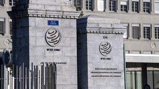 Die USA legen Berufung ein gegen einen Entscheid eines WTO-Schiedsgerichtes, das der Schweiz im Streit um zusätzliche Zölle auf Stahl und Aluminium Recht gegeben hatte.