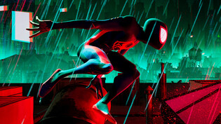 Fantastische Wesen: Bei «Spider-Man: Across the Spider-Verse» kommen Spinnenfreunde auf ihre Kosten.
