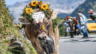 Ein Fest für alle: Das Prättigauer Alp Spektakel ist ein gelungener Mix aus währschafter Schweizer Alpkultur, moderner Alpwirtschaft und lebendigen Traditionen.