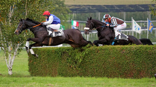 Beeindruckend: Zwei Reiter springen mit ihren Pferden auf dem Rossriet in Maienfeld über eines der Hindernisse. 