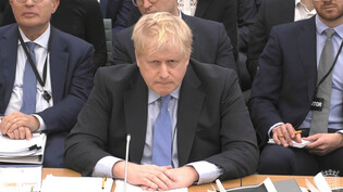 Hat er gelogen oder nicht? Der britische Ex-Premier Boris Johnson sagt vor einem Parlamentsausschuss aus.  