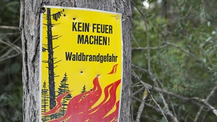 In einigen Regionen im Wallis herrschte weiterhin erhebliche oder grosse Waldbrandgefahr. (Archivbild)