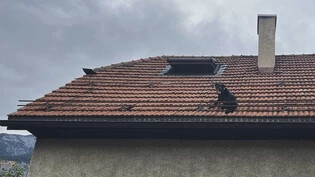 Missliche Lage: Der Hund namens Gordon steckt auf dem Dach fest.